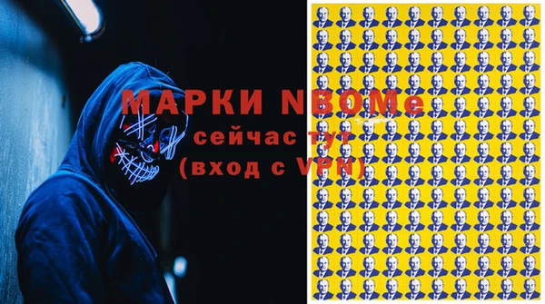 СК Алексин