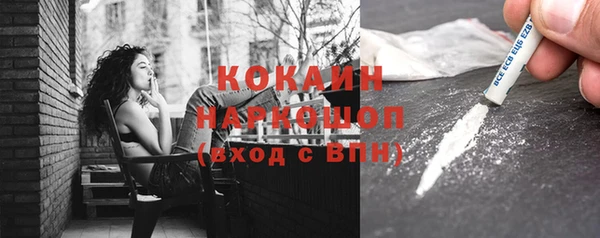 СК Алексин