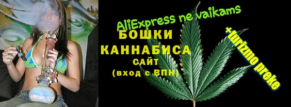 индика Алексеевка