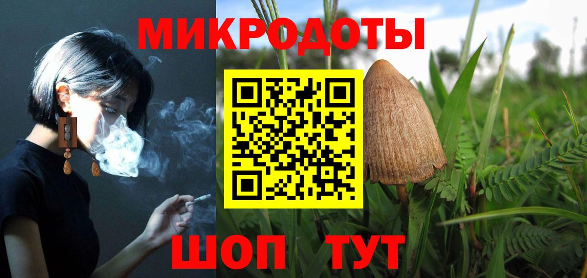 Анапа  Псилоцибиновые грибы MAGIC MUSHROOMS  Галлюциногенные грибы Psilocybe  Вход с VPN 